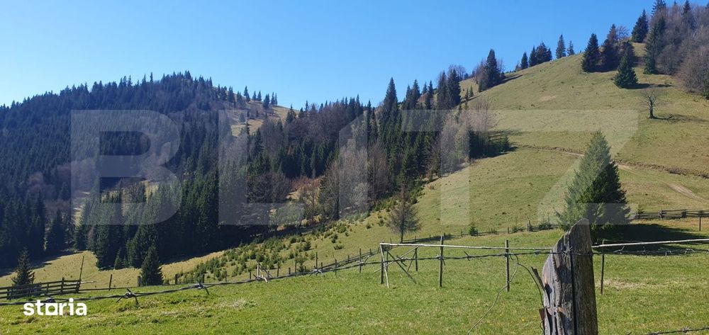 Teren extravilan, cu o suprafata generoasa de 206.189 mp in Dorna Cand