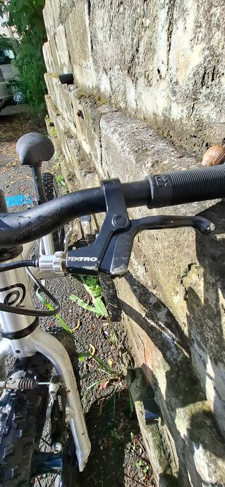 Bicicleta copii Early Rider Belter 16"