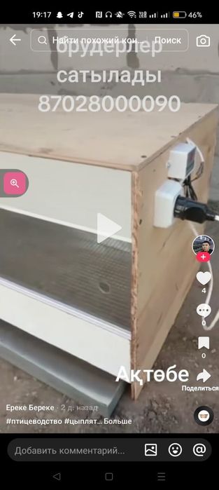 Брудер балапандарға сатылады