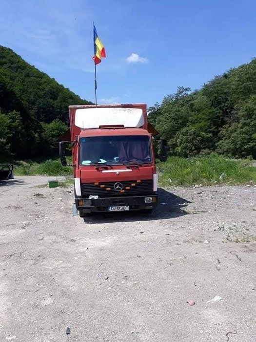 Camion apicol stupii