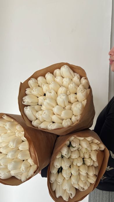 тюльпаны ОПТОМ от 600 тг