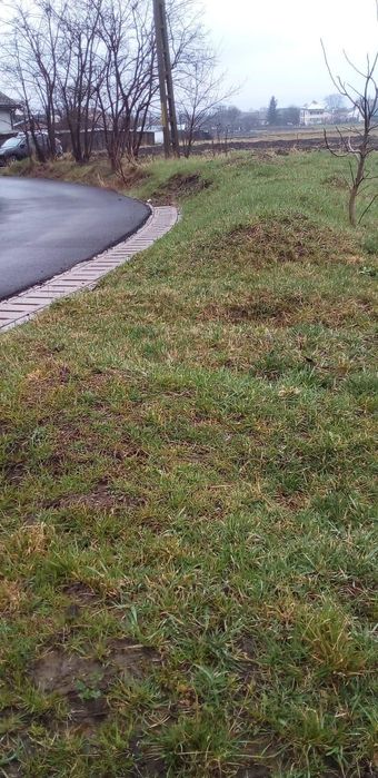 Teren intravilan de vanzare 1500 mp front 29in oraș salcea județ Suceava strada paieni Nr 30 A