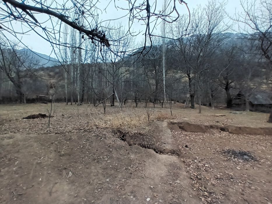 Здравствуйте дорогие друзья я вам обейвляю у меня есть земля каторие в