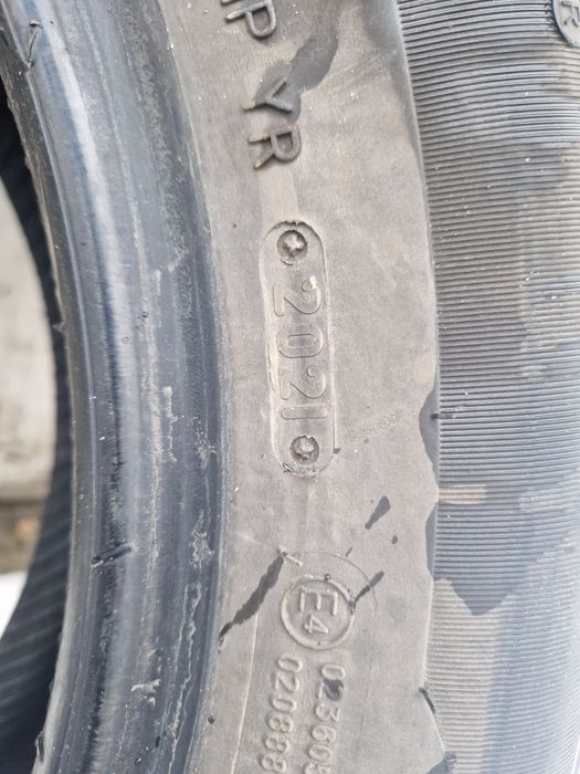 Шины, лапочка TRIANGL