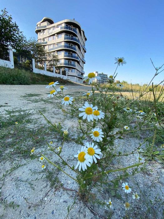 Cazare Apartament 2 Camere decomandate Mamaia Nord