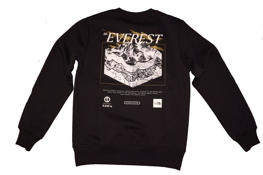 The north face - мъжка блуза, размер L