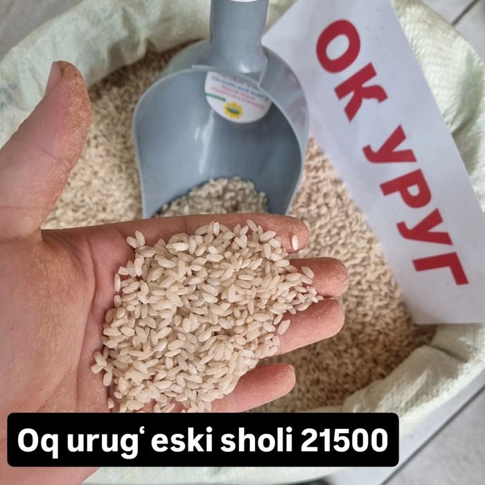 Istalgan hildagi guruch larni topib beramiz
