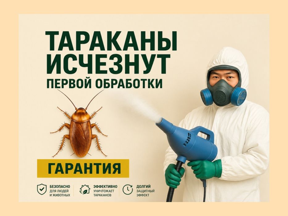 Дезинфекция Семей