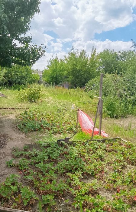 Дача 6 соток продам