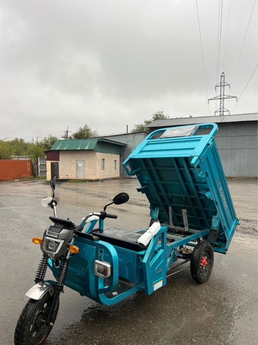 Муравей трицикл электровелосипед