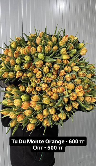 Букеты, цветы, розы, пионы, тюльпаны