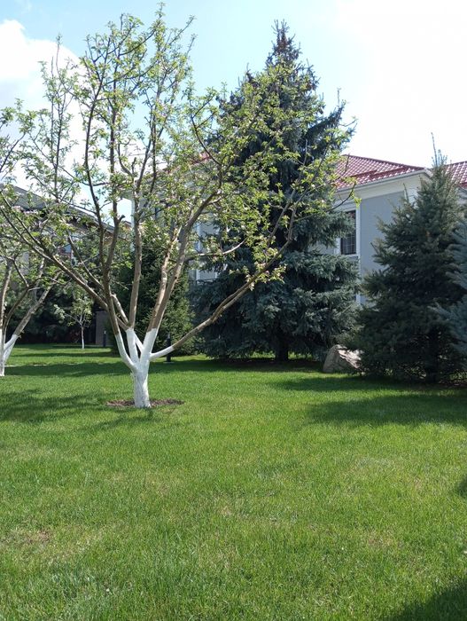 Садовник!!! Стаж более 20ти лет