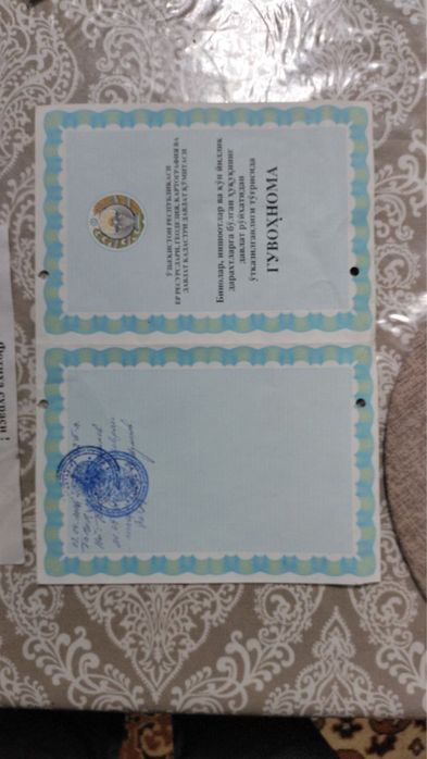 Здания таййор бизнес килиш учун