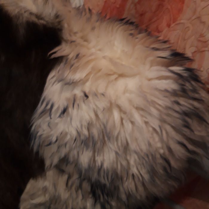 Чехол автомобильный меховой