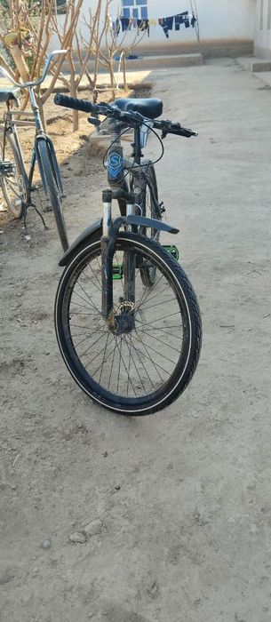 Vilosepet holati yangi