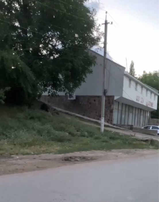 Чимёнда  5 соток  дача сотилади !!!  Сув, свет, централь  канализация.