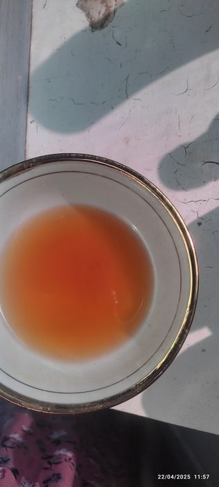 Domoshni olma va xurmo sirko