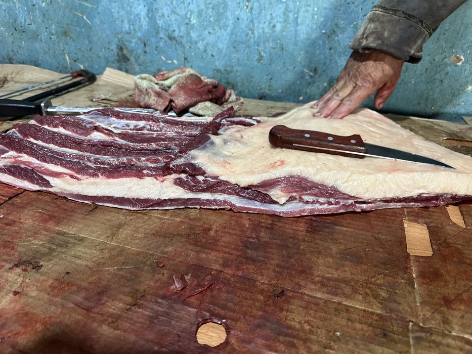 Согым сатам.жылкы