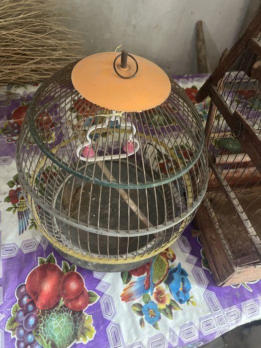 Qush Qafaslari Sotiladi Narxini Kelishamiz