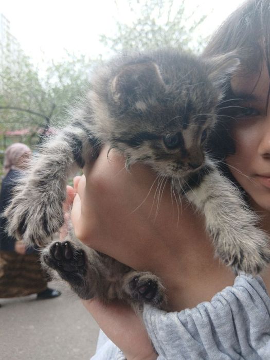 Отдам в хорошие руки