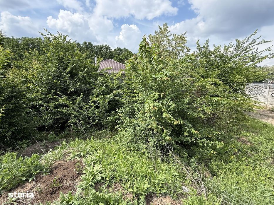 Teren intravilan 498,02 mp langa pădure , strada privata Corbeanca