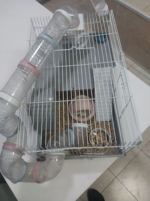 Hammer uchun universal kletka