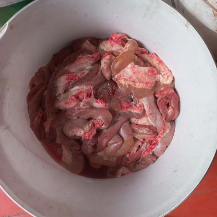 Бас сирак карын ишек журек бау