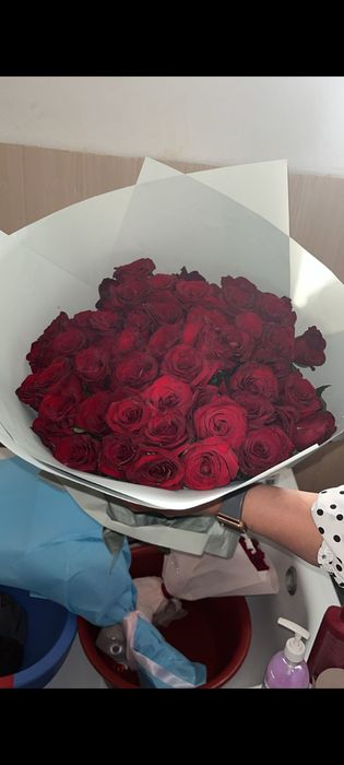 Цветы роза.. живой