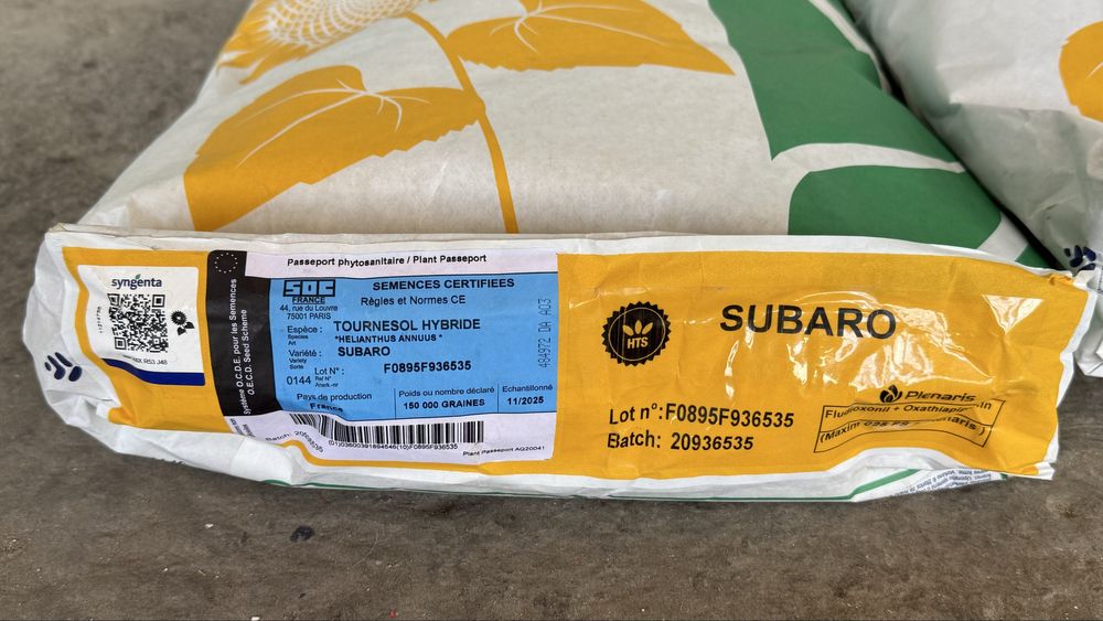 Vând samânta floare soarelui sygenta