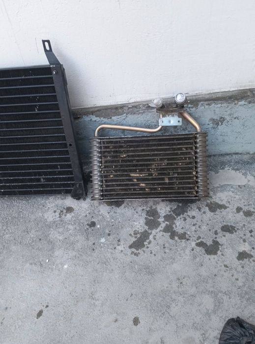 Nekisiya  kandisiyoner kamplet gm