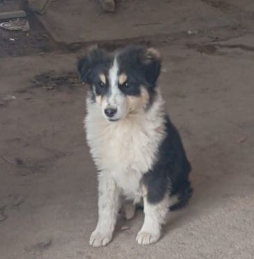 В самые добрые ручки