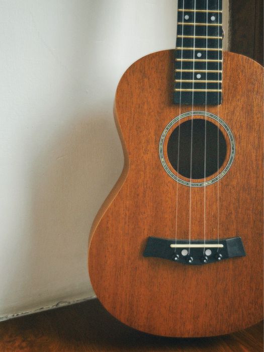 УКУЛЕЛЕ (концерт)