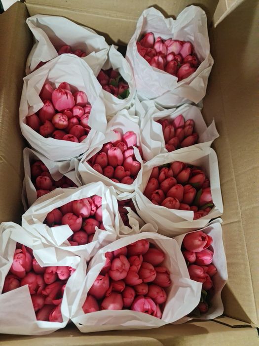 Тюльпаны большие с доставкой и бесплатной упаковкой