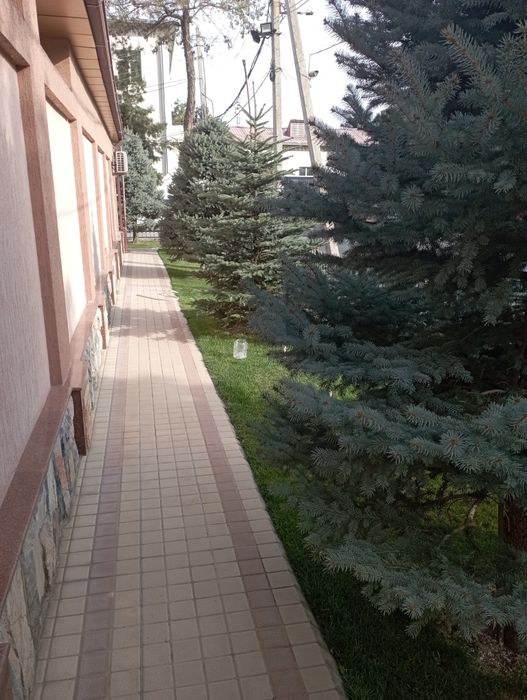 Archa kesish gazon ekish oʻrish