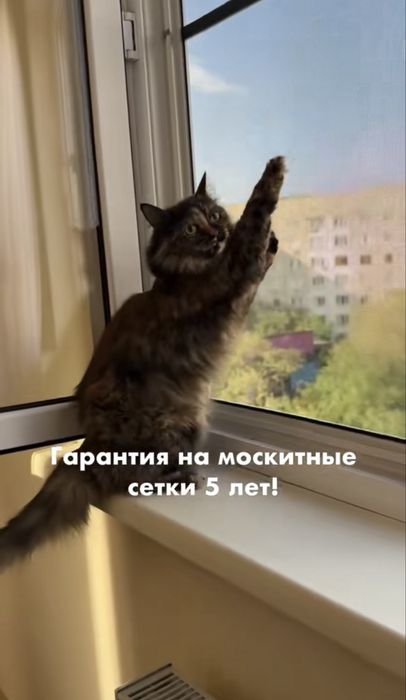 Москитные сетки антикошка