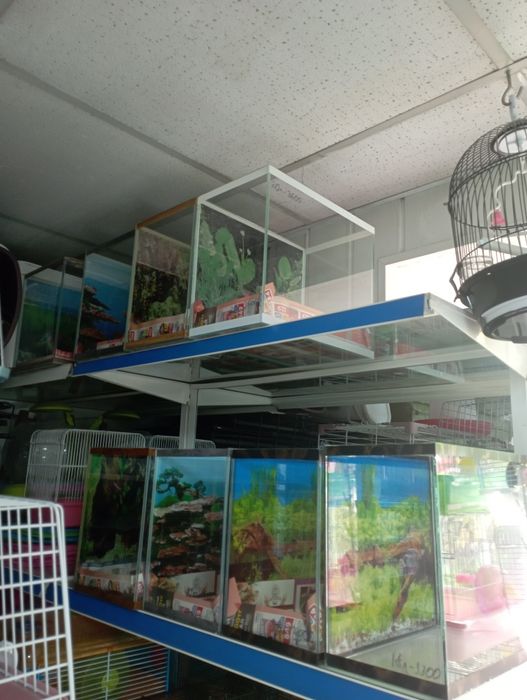 Аквариумы матрёшка