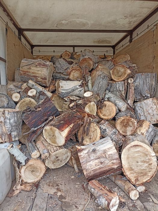 Продаются дрова тополь сухие