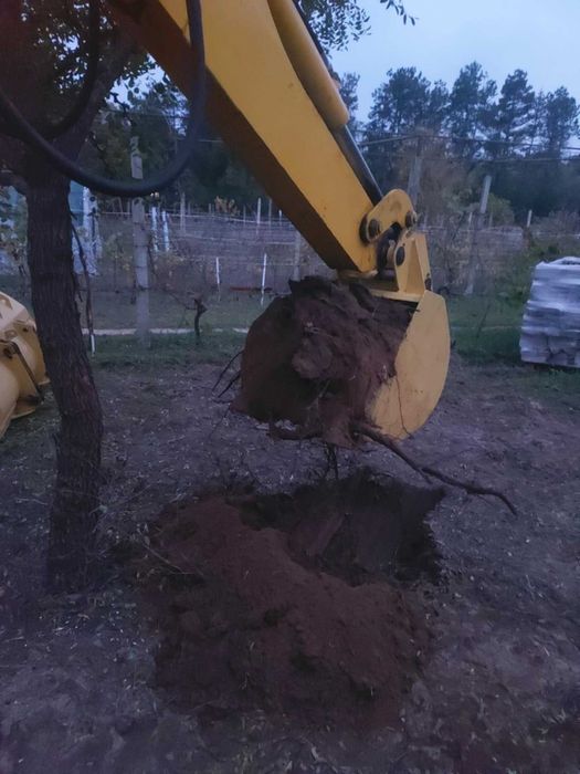 Подарявам песъчлива почва / пръст