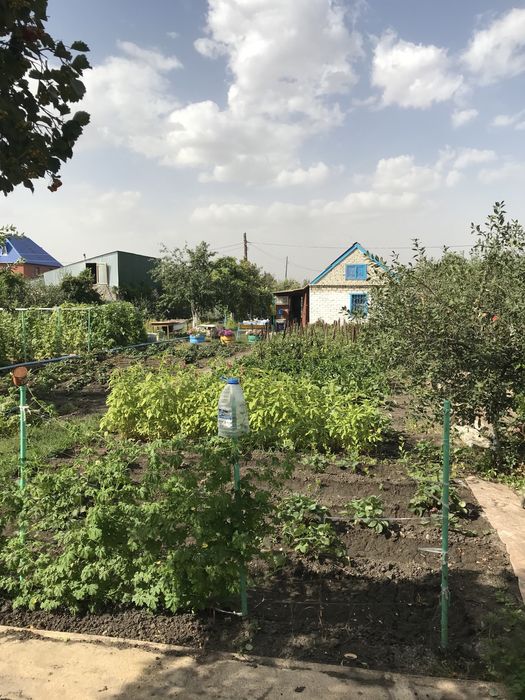 Продажа дачного участка