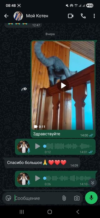 Зоогостиница для ваших животных