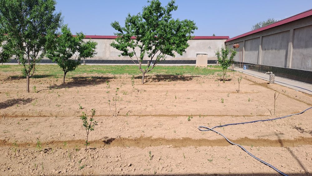 Чингелди М.Улугбекский р-н! Про-ся 25-соток дом 6-комнат