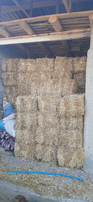 Сомон сотилади 1 метирли