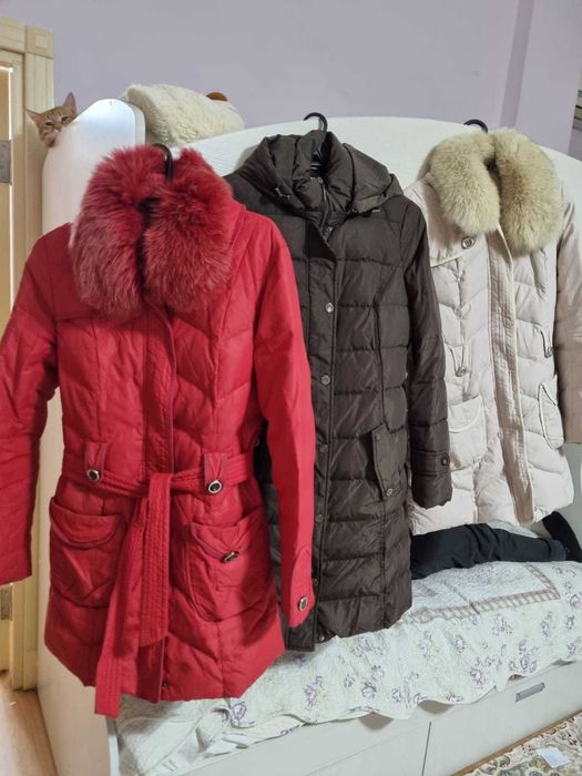 Куртки женские в отличном состоянии от 3500тг.