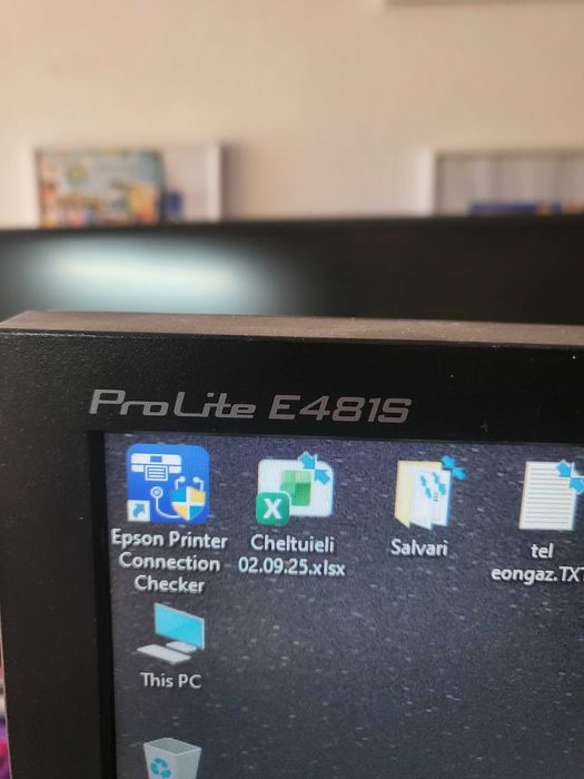 Monitor PC  iiyama ProLite E481S-S3S SH