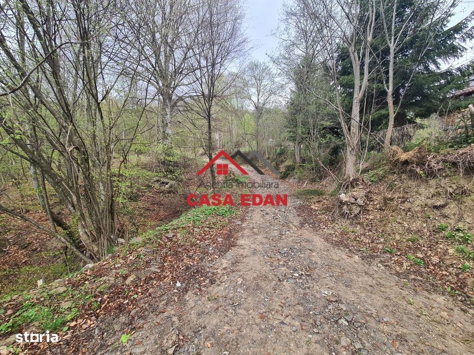 Teren intravilan in Valea Doftanei - Parajul Paltinu--1000 mp--120e
