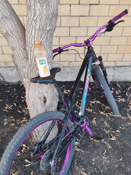 Велосипед Erec L 100