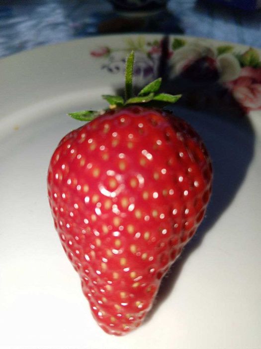 Лучшие Сорта  Клубники