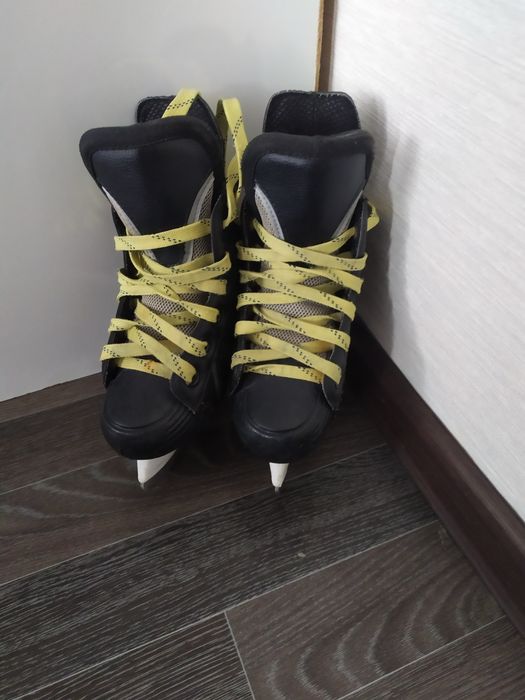 Коньки маленькие