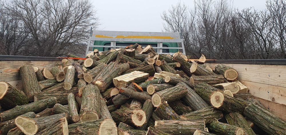 Дърва за огрев-нарязани,нацепени и метрови!