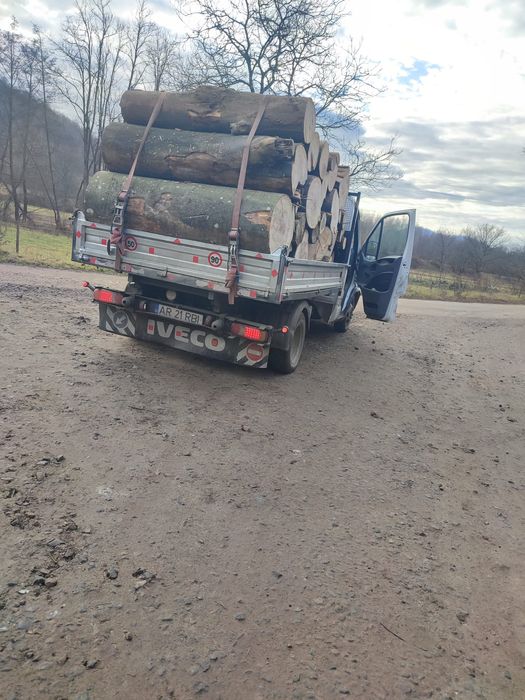 Lemne de foc esență tare fag